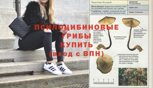 круглые Киренск