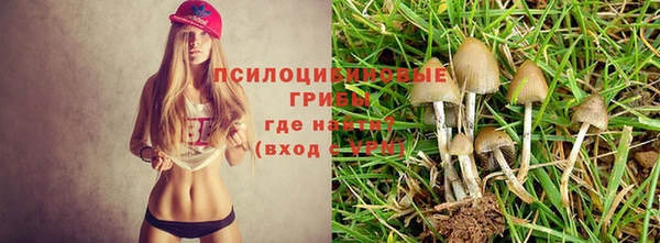 круглые Киренск