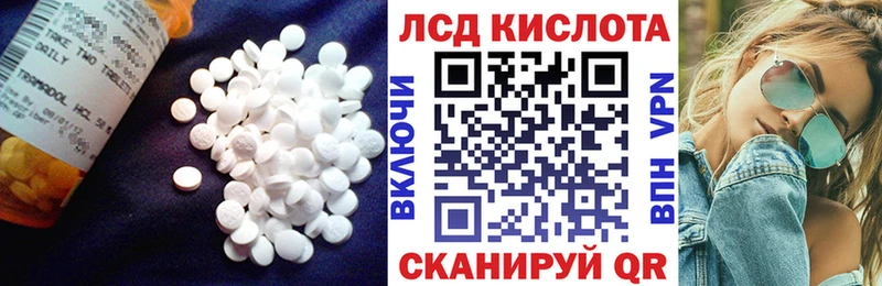 Купить закладки  Ржев  ЛСД экстази кислота 