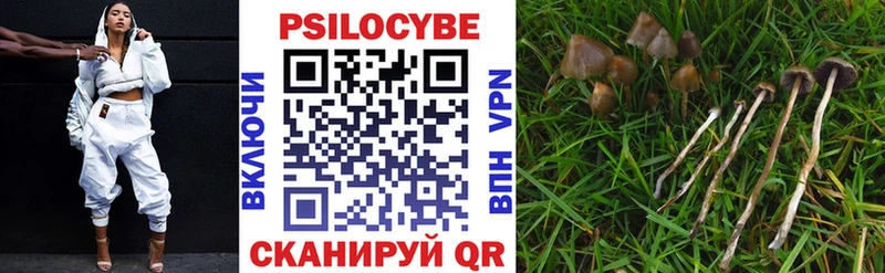 Галлюциногенные грибы MAGIC MUSHROOMS  Купить закладки  Ржев 